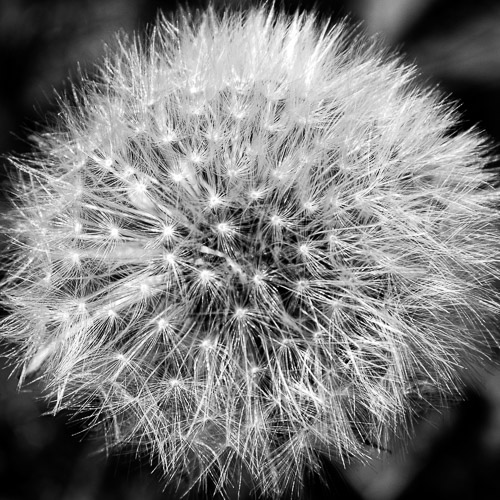 Ticonderoga, NY - May 2021