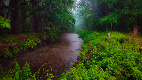 Maine - May 2025