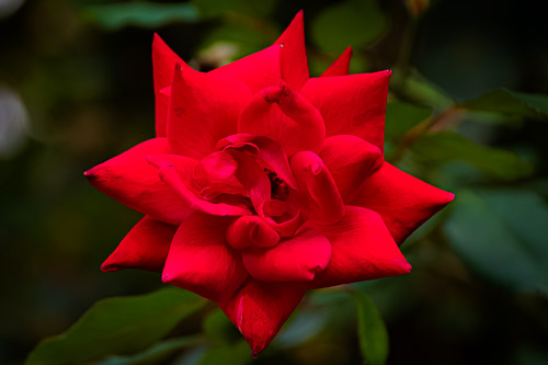 Sleepy Hollow, NY - Oct 2025