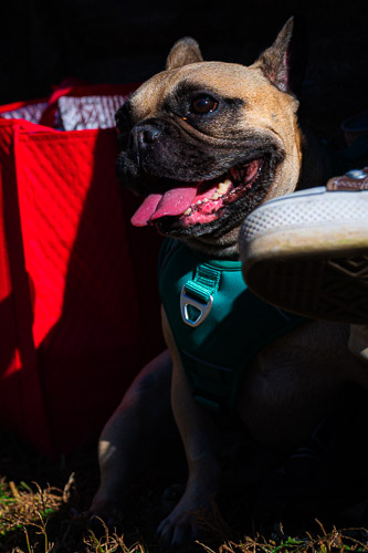 Sleepy Hollow, NY - Oct 2024