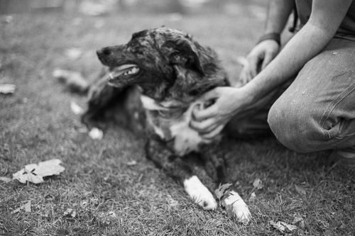 Prospect Park  |  Troy, NY - Apr 2026